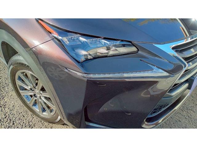 ＮＸ ＮＸ２００ｔ　Ｉパッケージ　純正ナビ　バックカメラ　サイドカメラ　ＥＴＣ　クルーズコントロール　パドルシフト　シートヒーター　パワーシート　クリアランスソナー　ＬＥＤヘッドライト　アイドリングストップ　プッシュスタート（7枚目）