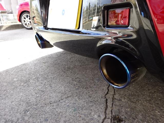 �b�n�o�d�m×�c�X�|�[�c�X�|�[�c�}�t���[�I