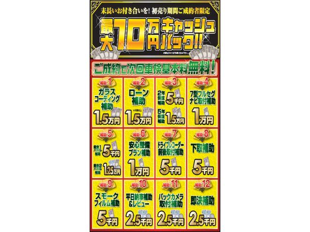 アエラスレザー20アルミ車高調サンルーフ純正ナビ後席モニタ(3枚目)
