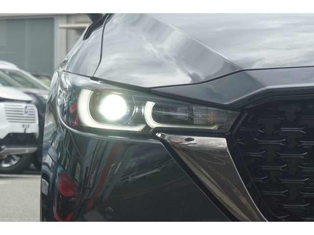 �k�d�c�w�b�h���C�g�I