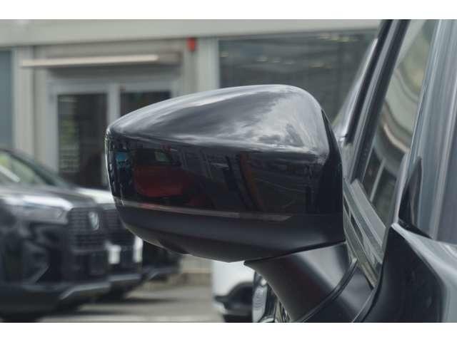 �d���i�[���E�B���J�[�h�A�~���[�I