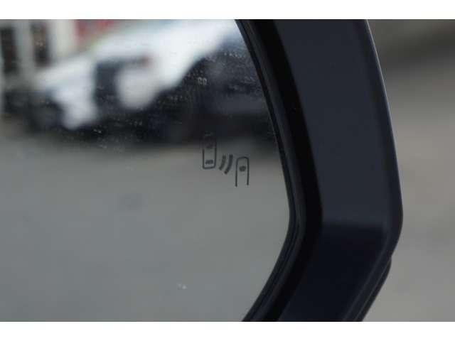 �u���C���h�X�|�b�g���j�^�[�I