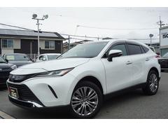 ̾ڥ󥿡飱ʬӣʾ塪ǼֲǽѤ̵Ƭ⣰ߥġбĹݾڡ촰ʥå¿ҡ 5