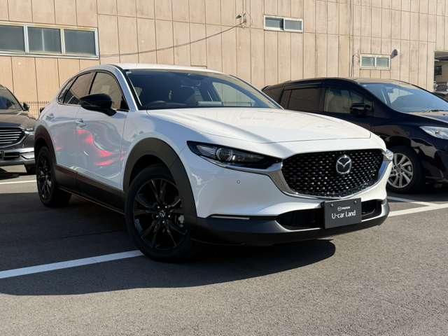 ���̓x�́A������f�ڎԗ��̒����瓖�X�̎ԗ����������������܂��āA���ɂ��肪�Ƃ��������܂�