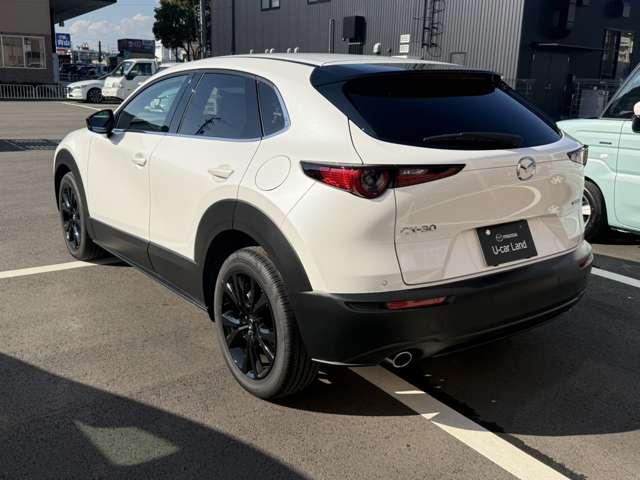 ���̓x�́A������f�ڎԗ��̒����瓖�X�̎ԗ����������������܂��āA���ɂ��肪�Ƃ��������܂�