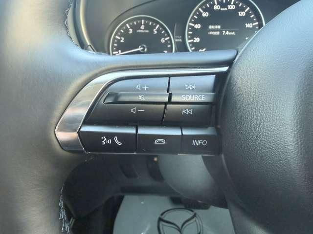 ���̓x�́A������f�ڎԗ��̒����瓖�X�̎ԗ����������������܂��āA���ɂ��肪�Ƃ��������܂�