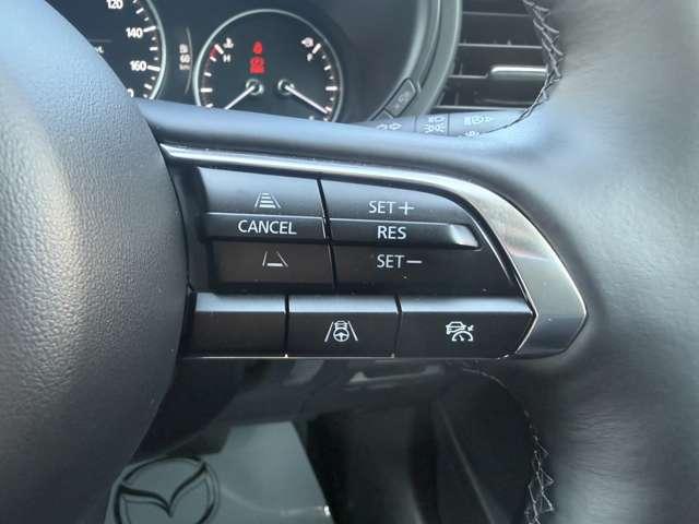 ���̓x�́A������f�ڎԗ��̒����瓖�X�̎ԗ����������������܂��āA���ɂ��肪�Ƃ��������܂�