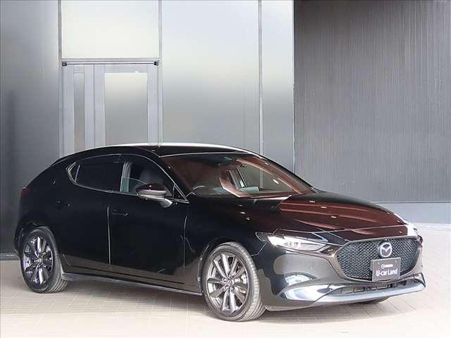 ���̓x�́A������f�ڎԗ��̒����瓖�X�̎ԗ����������������܂��āA���ɂ��肪�Ƃ��������܂�