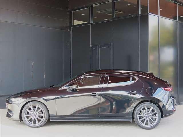 ���̓x�́A������f�ڎԗ��̒����瓖�X�̎ԗ����������������܂��āA���ɂ��肪�Ƃ��������܂�