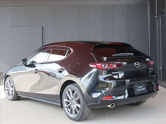 ���̓x�́A������f�ڎԗ��̒����瓖�X�̎ԗ����������������܂��āA���ɂ��肪�Ƃ��������܂�