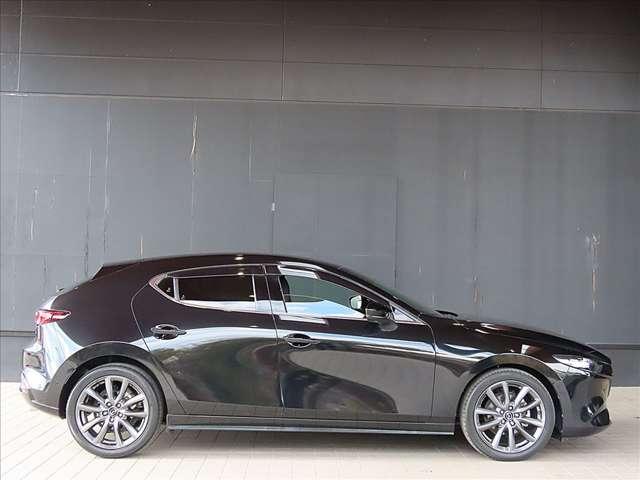 ���̓x�́A������f�ڎԗ��̒����瓖�X�̎ԗ����������������܂��āA���ɂ��肪�Ƃ��������܂�