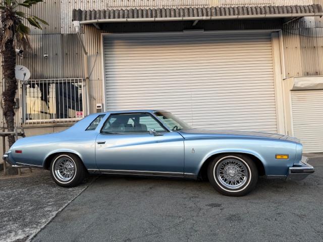 ビュイックリーガル 　クーペ　ランドゥー　外装ライトブルー　内装ブルー系（5枚目）