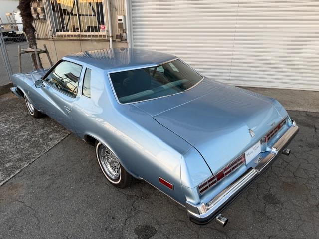 ビュイックリーガル 　クーペ　ランドゥー　外装ライトブルー　内装ブルー系（10枚目）