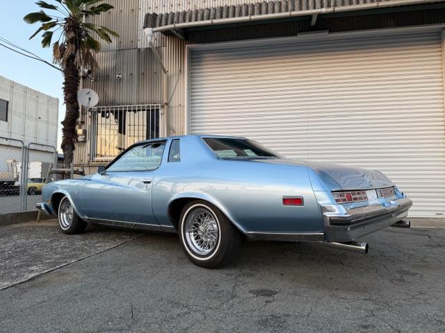 ビュイックリーガル 　クーペ　ランドゥー　外装ライトブルー　内装ブルー系（11枚目）