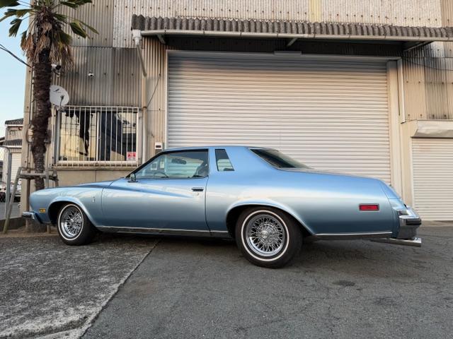 ビュイックリーガル 　クーペ　ランドゥー　外装ライトブルー　内装ブルー系（12枚目）