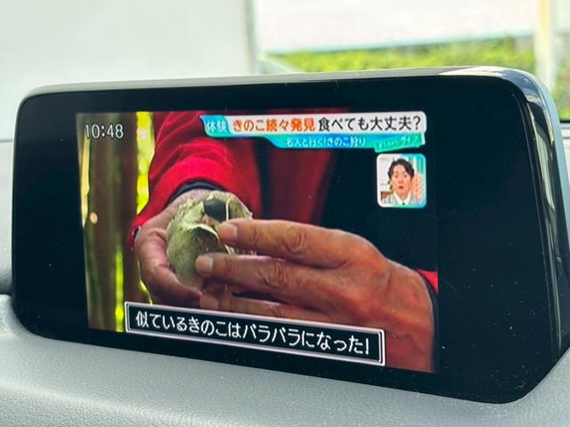 ＣＸ－８ ２５Ｓ　プロアクティブ　禁煙　メーカーナビＴＶ　全周囲モニター　フリップダウンモニター　ＢＯＳＥサウンド　ＨＵＤ　ＢＳＭ　スマートキー２個　衝突軽減　レーダークルーズ　レーンキープ　パワーバックドア　シートヒーター（28枚目）