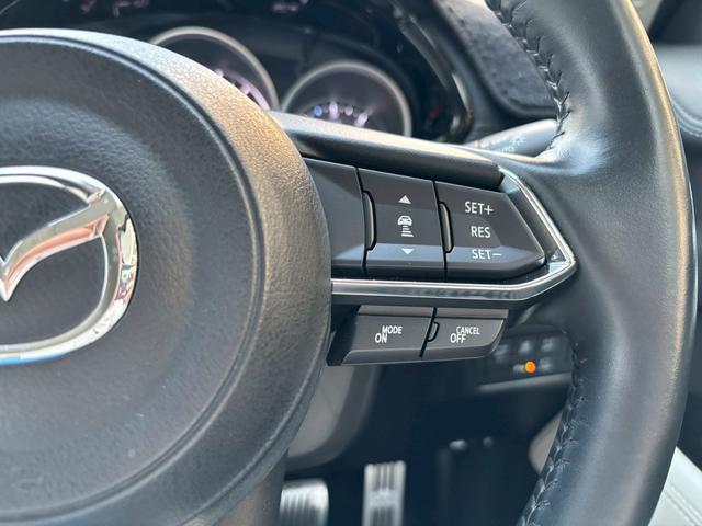 ＣＸ－５ ２５Ｓ　Ｌパッケージ　禁煙　ナビ・フルセグＴＶ・全周囲カメラ・白革シート・ＤＶＤ／ＣＤ・アドバンストシティブレーキ・ＢＳＭ・パワーバックドア・シートヒーター・スマートキー・ショートチェンジ後（19枚目）