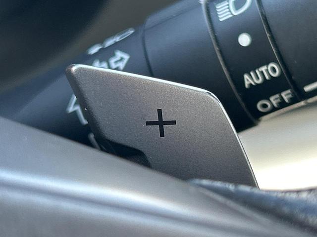 フォレスター ２．０ＸＴ　アイサイト　サンルーフ　パワーバックドア　ルーフレール　黒革シート　ＳＤナビ　バックカメラ　シートヒーター　スマートキー　レーダークルーズ　禁煙車　ＨＩＤヘッドライト　純正１８インチアルミホイール　ＥＴＣ（55枚目）