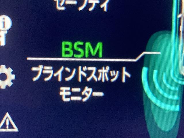 ＲＳアドバンス　パノラミックビュー　黒本革シート　パーキングサポートブレーキ　トヨタセーフティセンス　プリクラッシュ　レーダークルーズ　クリアランスソナー　ＢＳＭ　メモリパワーシート　シートヒーター＆エアコン　ＥＴＣ(46枚目)