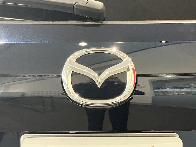 ＣＸ－５ ＸＤ　ブラックトーンエディション　禁煙車　スマートシティブレーキ　３６０°ビューモニター　ブラインドスポットモニター　レーダークルーズ　クリアランスソナー　クロハーフレザーシート　メモリパワーシート　シートヒーター　パワーバックドア（33枚目）