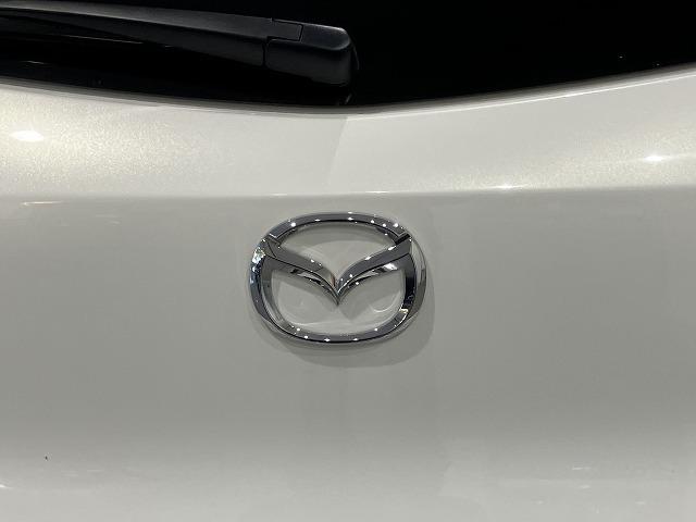 ＣＸ－３ ＸＤ　ツーリング　Ｌパッケージ　禁煙車　ＣＤ・ＤＶＤプレーヤー　地デジチューナー　スマートシティブレーキ　レーダークルーズ　オートハイビーム　ＬＥＤヘッドライト　クロハーフレザーシート　シートヒーター　メーカーナビ　バックモニター（33枚目）