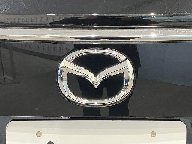 ＣＸ－８ ＸＤプロアクティブ　Ｓパッケージ　禁煙　アルパインフリップダウン　スマートシティブレーキ　３６０°ビュー　レーダークルーズ　クリアランスソナー　ブラインドスポットモニタ　　シートメモリー　黒本革エアシート　ルーフレール　電動リアゲート（35枚目）