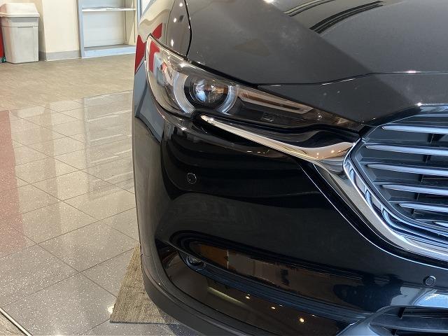 ＣＸ－８ ＸＤプロアクティブ　Ｓパッケージ　禁煙　アルパインフリップダウン　スマートシティブレーキ　３６０°ビュー　レーダークルーズ　クリアランスソナー　ブラインドスポットモニタ　　シートメモリー　黒本革エアシート　ルーフレール　電動リアゲート（46枚目）