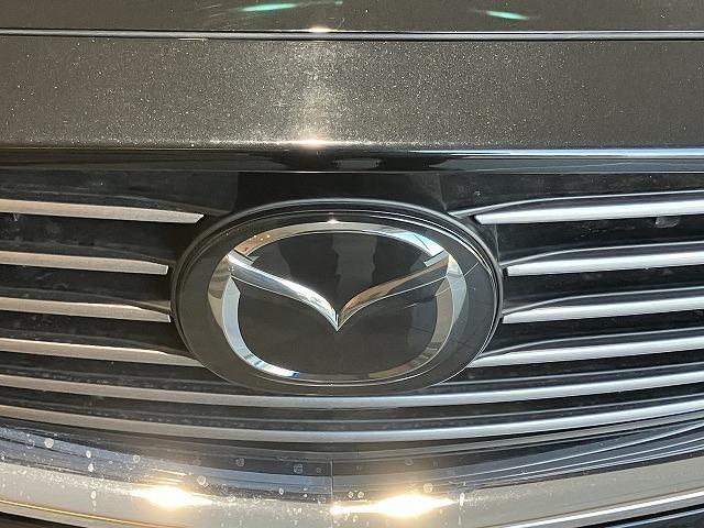 ＣＸ－８ ＸＤプロアクティブ　Ｓパッケージ　禁煙　アルパインフリップダウン　スマートシティブレーキ　３６０°ビュー　レーダークルーズ　クリアランスソナー　ブラインドスポットモニタ　　シートメモリー　黒本革エアシート　ルーフレール　電動リアゲート（47枚目）