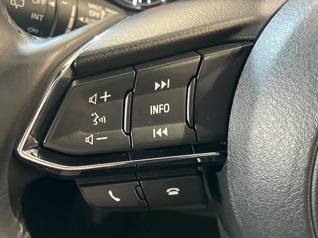 ＣＸ－８ ＸＤプロアクティブ　Ｓパッケージ　禁煙　アルパインフリップダウン　スマートシティブレーキ　３６０°ビュー　レーダークルーズ　クリアランスソナー　ブラインドスポットモニタ　　シートメモリー　黒本革エアシート　ルーフレール　電動リアゲート（59枚目）