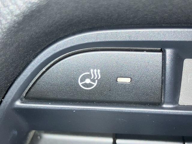 ＣＸ－８ ＸＤプロアクティブ　Ｓパッケージ　禁煙　アルパインフリップダウン　スマートシティブレーキ　３６０°ビュー　レーダークルーズ　クリアランスソナー　ブラインドスポットモニタ　　シートメモリー　黒本革エアシート　ルーフレール　電動リアゲート（66枚目）