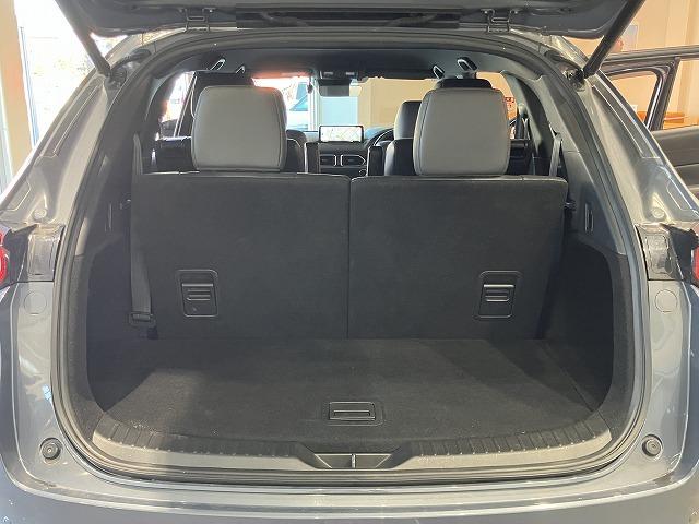 ＣＸ－８ ２５Ｓ　ブラックトーンエディション　ワンオーナー　禁煙車　ルーフレール　サイドガーニッシュ　メーカーナビゲーション　３６０°ビューモニター　レーダークルーズ　クリアランスソナー　ブラインドスポットモニター　クロハーフレザーシート　ＥＴＣ（32枚目）