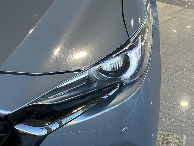 ＣＸ－８ ２５Ｓ　ブラックトーンエディション　ワンオーナー　禁煙車　ルーフレール　サイドガーニッシュ　メーカーナビゲーション　３６０°ビューモニター　レーダークルーズ　クリアランスソナー　ブラインドスポットモニター　クロハーフレザーシート　ＥＴＣ（36枚目）