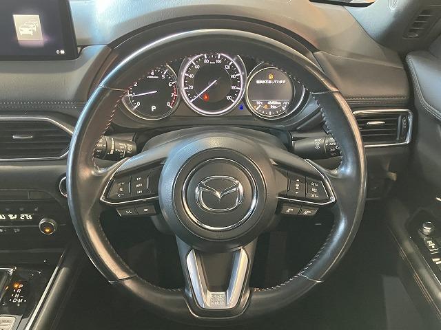 ＣＸ－８ ２５Ｓ　ブラックトーンエディション　ワンオーナー　禁煙車　ルーフレール　サイドガーニッシュ　メーカーナビゲーション　３６０°ビューモニター　レーダークルーズ　クリアランスソナー　ブラインドスポットモニター　クロハーフレザーシート　ＥＴＣ（61枚目）