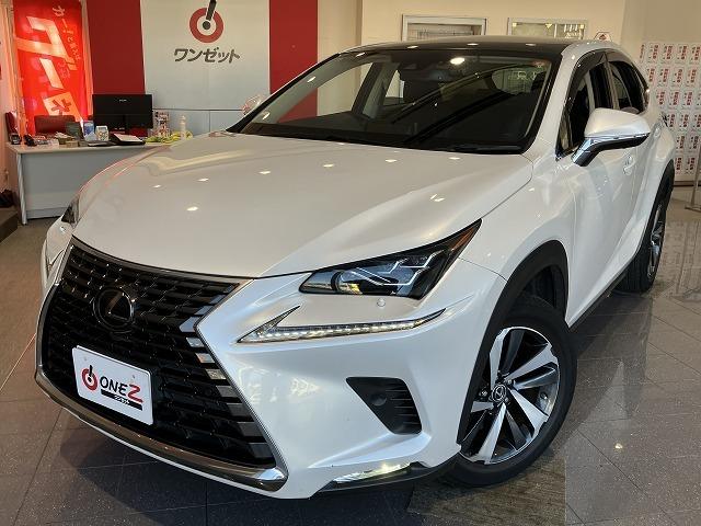 ＮＸ ＮＸ３００　Ｉパッケージ　禁煙車　パノラマルーフ　ブラインドスポットモニター　パーキングサポート　リアクロストラフィックアラート　レクサスセーフティ＋　レーダークルーズ　クリアランスソナー　プリクラッシュ　オートハイビーム（19枚目）