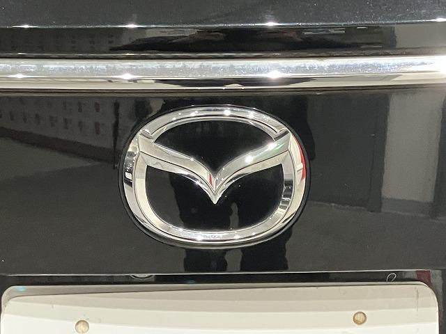 ＣＸ－８ ＸＤプロアクティブ　禁煙車　ＣＤ・ＤＶＤプレーヤー　地デジチューナー　ＢＯＳＥサウンド　３６０°ビューモニター　フロントパーキングセンサー　レーダークルーズ　クリアランスソナー　レーンキープ　純正１９インチＡＷ　ＥＴＣ（32枚目）