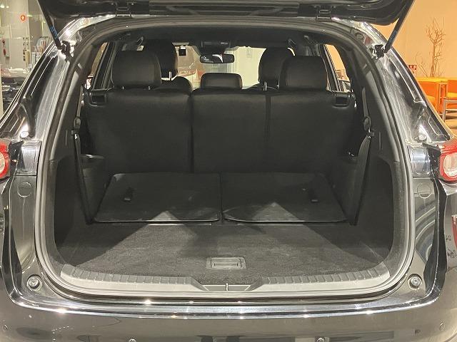 ＣＸ－８ ＸＤプロアクティブ　禁煙車　ＣＤ・ＤＶＤプレーヤー　地デジチューナー　ＢＯＳＥサウンド　３６０°ビューモニター　フロントパーキングセンサー　レーダークルーズ　クリアランスソナー　レーンキープ　純正１９インチＡＷ　ＥＴＣ（35枚目）