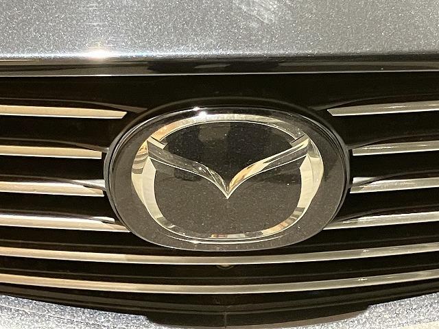 ＣＸ－８ ＸＤプロアクティブ　禁煙車　ＣＤ・ＤＶＤプレーヤー　地デジチューナー　ＢＯＳＥサウンド　３６０°ビューモニター　フロントパーキングセンサー　レーダークルーズ　クリアランスソナー　レーンキープ　純正１９インチＡＷ　ＥＴＣ（43枚目）