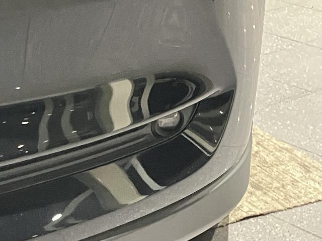 ＣＸ－８ ＸＤプロアクティブ　禁煙車　ＣＤ・ＤＶＤプレーヤー　地デジチューナー　ＢＯＳＥサウンド　３６０°ビューモニター　フロントパーキングセンサー　レーダークルーズ　クリアランスソナー　レーンキープ　純正１９インチＡＷ　ＥＴＣ（45枚目）