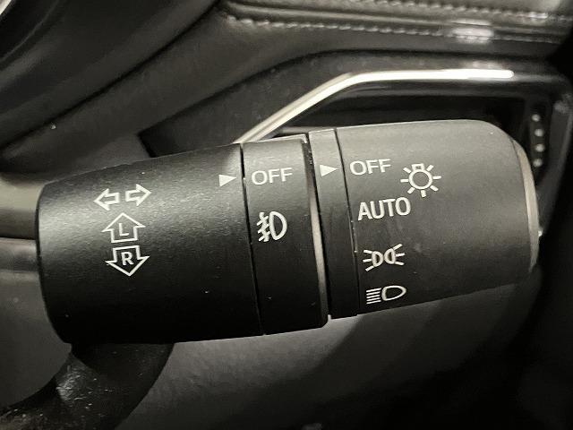 ＣＸ－８ ＸＤプロアクティブ　禁煙車　ＣＤ・ＤＶＤプレーヤー　地デジチューナー　ＢＯＳＥサウンド　３６０°ビューモニター　フロントパーキングセンサー　レーダークルーズ　クリアランスソナー　レーンキープ　純正１９インチＡＷ　ＥＴＣ（63枚目）