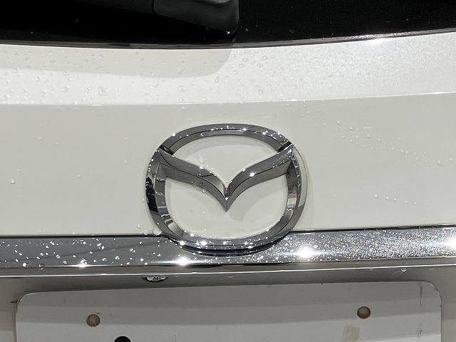 アテンザワゴン ＸＤ　Ｌパッケージ　禁煙車　ＣＤ・ＤＶＤプレーヤー　地デジチューナー　３６０°ビューモニター　フロントパーキングセンサー　ＢＯＳＥサウンド　　レーダークルーズ　クリアランスソナー　レーンキープ　ブラインドスポットモニター（33枚目）