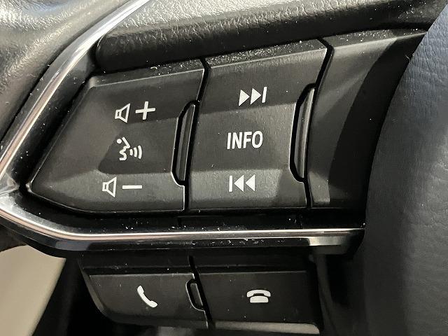 アテンザワゴン ＸＤ　Ｌパッケージ　禁煙車　ＣＤ・ＤＶＤプレーヤー　地デジチューナー　３６０°ビューモニター　フロントパーキングセンサー　ＢＯＳＥサウンド　　レーダークルーズ　クリアランスソナー　レーンキープ　ブラインドスポットモニター（56枚目）