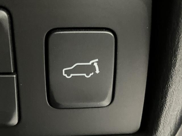 ���ɂ܂��Ȃ��f�ڑO�̂��Ԃ�����܂��̂ŁA����]�̂��Ԃ��������������B���O�V�Q�|�V�Q�W�|�V�P�P�P