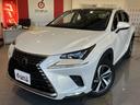 ＮＸ３００　Ｉパッケージ　禁煙車　パノラマルーフ　ブラインドスポットモニター　パーキングサポート　リアクロストラフィックアラート　レクサスセーフティ＋　レーダークルーズ　クリアランスソナー　プリクラッシュ　オートハイビーム（19枚目）