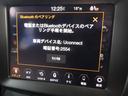 リミテッド 禁煙車 レザーシート シートヒーター パワーシート ステアリングヒーター LEDライト 純正ナビ バックカメラ バックセンサー LEDライト ACC スマートキー 安心ロング保証(43枚目)