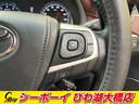 プレミアム　ワンオーナー　禁煙車　純正フルエアロ　純正９インチナビ　フルセグ　バックカメラ　ＬＥＤヘッド　ハーフレザーシート　パワーシート　クルコン　ビルトインＥＴＣ（25枚目）