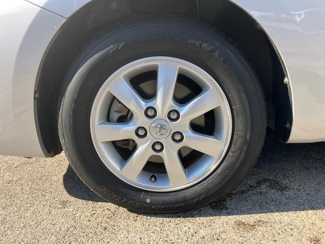 ���V�i�^�C�����̌����̂����k�������B