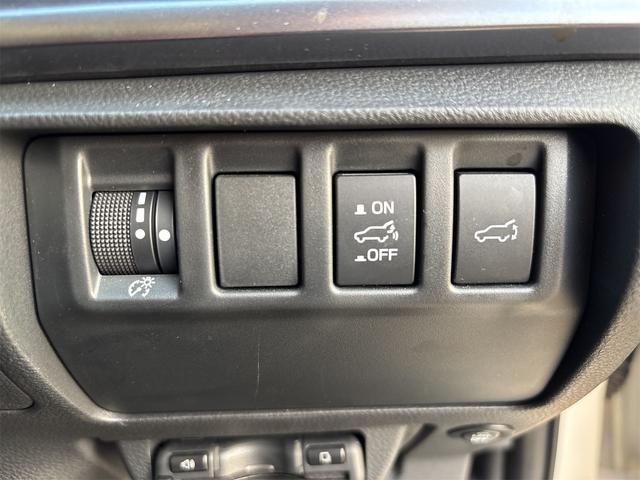 レヴォーグ GT-H EX 4WD ETC バックカメラ サイドカメラ ナビ TV クリアランスソナー オートクルーズコントロール レーンアシスト 衝突被害軽減システム アルミホイール オートライト(14枚目)