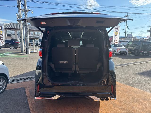 アルファード Z 全周囲カメラ ナビ TV クリアランスソナー オートクルーズコントロール レーンアシスト 衝突被害軽減システム 両側電動スライドドア オートマチックハイビーム LEDヘッドランプ 電動リアゲート(23枚目)