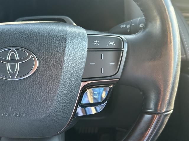 アルファード Z 全周囲カメラ ナビ TV クリアランスソナー オートクルーズコントロール レーンアシスト 衝突被害軽減システム 両側電動スライドドア オートマチックハイビーム LEDヘッドランプ 電動リアゲート(46枚目)