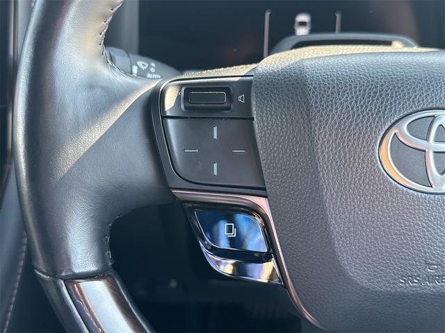 アルファード Z 全周囲カメラ ナビ TV クリアランスソナー オートクルーズコントロール レーンアシスト 衝突被害軽減システム 両側電動スライドドア オートマチックハイビーム LEDヘッドランプ 電動リアゲート(47枚目)